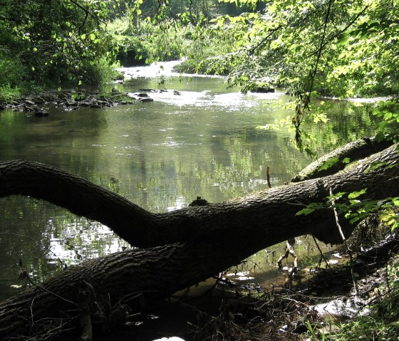 115_1503, © a wiewesch 115_1503, © a wiewesch