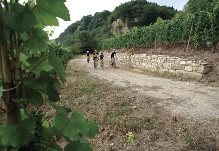 Mountain Bike, © Carlo Rinnen ORTM LFT Mountain Bike, © Carlo Rinnen ORTM LFT