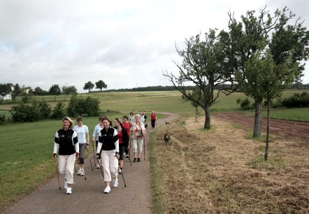 walking-061, © Deutsch Luxemburgische Tourist Info walking-061, © Deutsch Luxemburgische Tourist Info