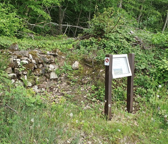 Sentier de randonnée confort Zemmer 5, © RLP Sentier de randonnée confort Zemmer 5, © RLP