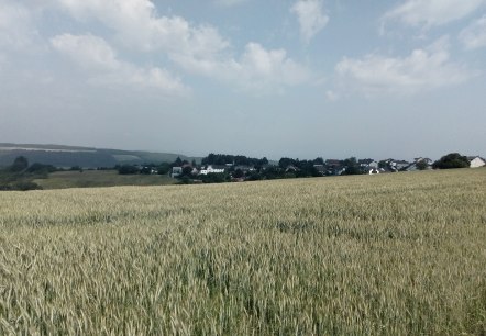 Aussicht, © Claudia Krütten Aussicht, © Claudia Krütten