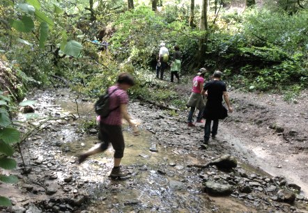 Bach bei Sirzenich, © Deutsch-Luxemburgische Tourist-Information Bach bei Sirzenich, © Deutsch-Luxemburgische Tourist-Information