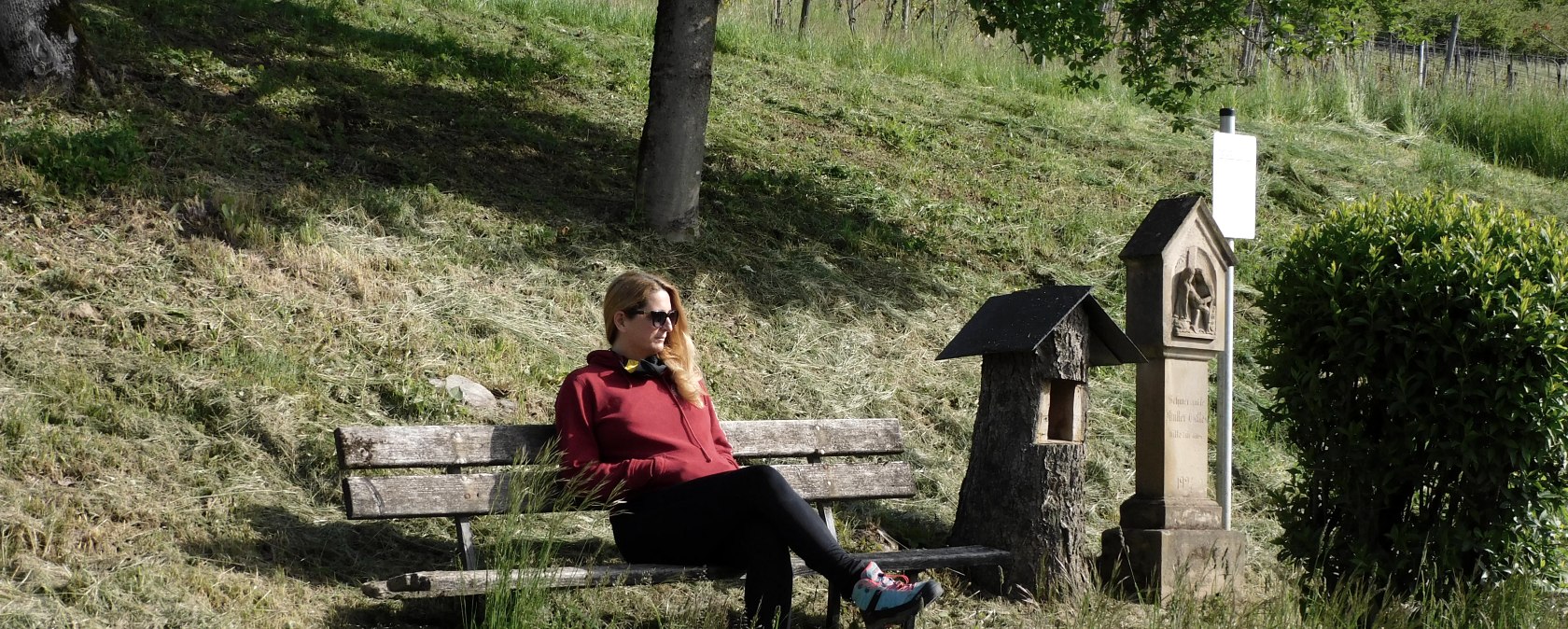 Igel 2, © Nicole Zimmer Igel 2, © Nicole Zimmer