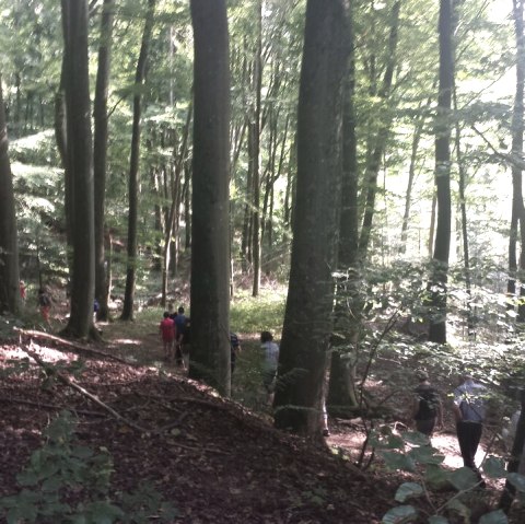 wandelen-path-hedgehog-4, © Deutsch Luxemburgische Tourist Information wandelen-path-hedgehog-4, © Deutsch Luxemburgische Tourist Information