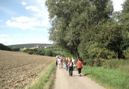 Eifel Wanderer, © Deutsc-Luxemburgische Tourist-Info Eifel Wanderer, © Deutsc-Luxemburgische Tourist-Info