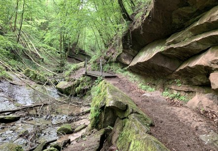 Felsformation, © Deutsch-Luxemburgische Tourist-Information Felsformation, © Deutsch-Luxemburgische Tourist-Information