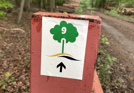 Logo Hikingtrail Hofweiler, © Deutsch-Luxemburgische Tourist-Info Logo Hikingtrail Hofweiler, © Deutsch-Luxemburgische Tourist-Info