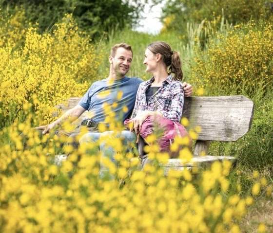 Un couple souriant est assis sur un banc en bois, entouré de genêts jaunes en fleurs dans un paysage verdoyant., © Eifel Tourismus GmbH, Dominik Ketz Un couple souriant est assis sur un banc en bois, entouré de genêts jaunes en fleurs dans un paysage verdoyant., © Eifel Tourismus GmbH, Dominik Ketz