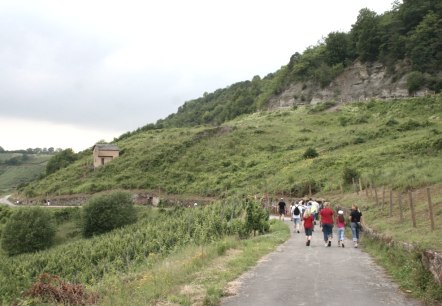 igel-weinberge_1, © Deutsch Luxemburgische Tourist Info igel-weinberge_1, © Deutsch Luxemburgische Tourist Info