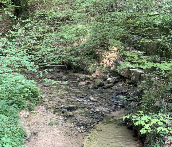 Wanderweg Trierweiler Sirzenich, © Deutsch Luxemburgische Tourist Information Wanderweg Trierweiler Sirzenich, © Deutsch Luxemburgische Tourist Information