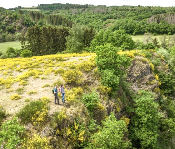 Deux randonneurs sur une colline de genêts jaunes, entourés d'un paysage forestier verdoyant. Point de vue sur l'itinéraire Eifelgold., © Eifel Tourismus GmbH, Dominik Ketz Deux randonneurs sur une colline de genêts jaunes, entourés d'un paysage forestier verdoyant. Point de vue sur l'itinéraire Eifelgold., © Eifel Tourismus GmbH, Dominik Ketz