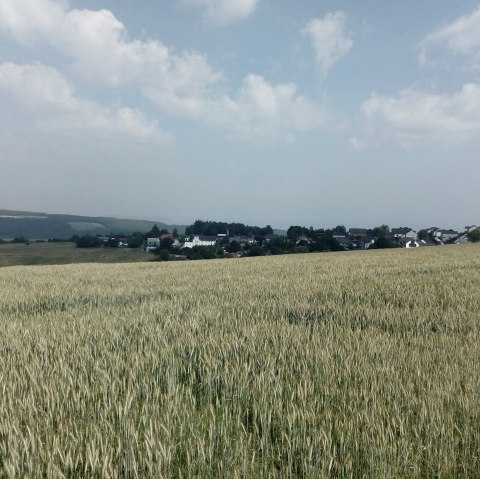 Bekijk, © Claudia Krütten Bekijk, © Claudia Krütten