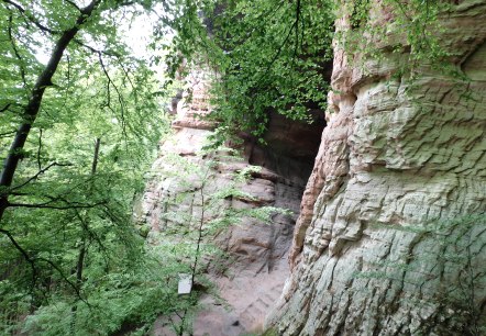 Genovevahöhle, © Deutsch-Luxemburgische Tourist Information Genovevahöhle, © Deutsch-Luxemburgische Tourist Information