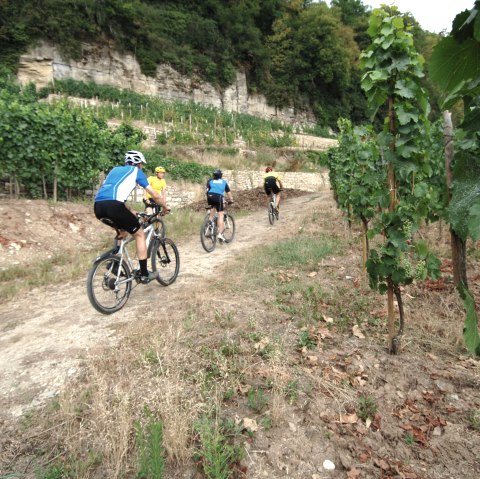 Mountain Bike, © Carlo Rinnen, ORTM, LFT Mountain Bike, © Carlo Rinnen, ORTM, LFT