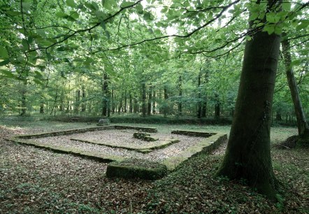 Gallo, © Deutsch-Luxemburgische Tourist-Information Gallo, © Deutsch-Luxemburgische Tourist-Information