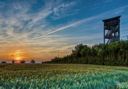 Rodt Aussichtsturm, © Deutsch-Luxemburgische Tourist-Information Rodt Aussichtsturm, © Deutsch-Luxemburgische Tourist-Information