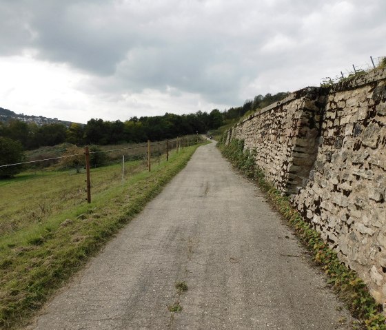 Igel 5, © Nicole Zimmer Igel 5, © Nicole Zimmer