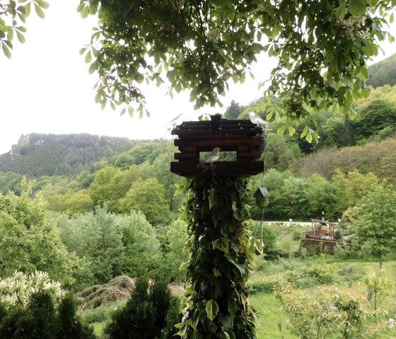 Garten, © Nicole Zimmer Garten, © Nicole Zimmer