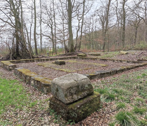 Gallo 3, © Nicole Zimmer Gallo 3, © Nicole Zimmer