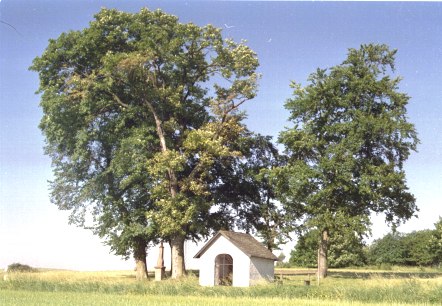 Franzenheim Franzenheim