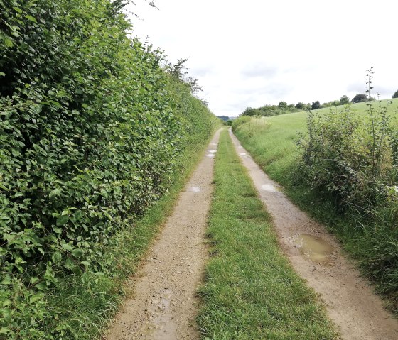 Welschbillig, © Deutsch-Luxemburgische Tourist-Information Welschbillig, © Deutsch-Luxemburgische Tourist-Information