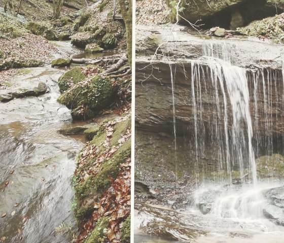 22-20180109-Wandbild Butzerbachtal-P1060029, © Erasme 22-20180109-Wandbild Butzerbachtal-P1060029, © Erasme