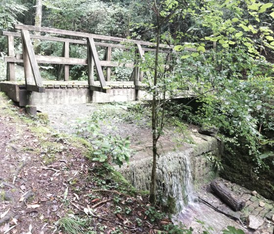 img_20210911_111305, © Deutsch-Luxemburgische Tourist-Information img_20210911_111305, © Deutsch-Luxemburgische Tourist-Information