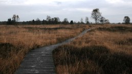 Herbst Morgen, © Monschau Touristik GmbH - Heike Becker Herbst Morgen, © Monschau Touristik GmbH - Heike Becker