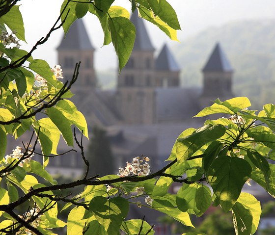 Ein Baum mit grünen Blättern und weißen Blüten im Vordergrund, dahinter verschwommen eine Kirche mit drei Türmen., © Naturpark Südeifel, C. Schleder Ein Baum mit grünen Blättern und weißen Blüten im Vordergrund, dahinter verschwommen eine Kirche mit drei Türmen., © Naturpark Südeifel, C. Schleder