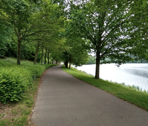 An asphalt path leads along a lake, lined with green trees and bushes. The sky is cloudy and the water is calm., © Naturpark Südeifel An asphalt path leads along a lake, lined with green trees and bushes. The sky is cloudy and the water is calm., © Naturpark Südeifel