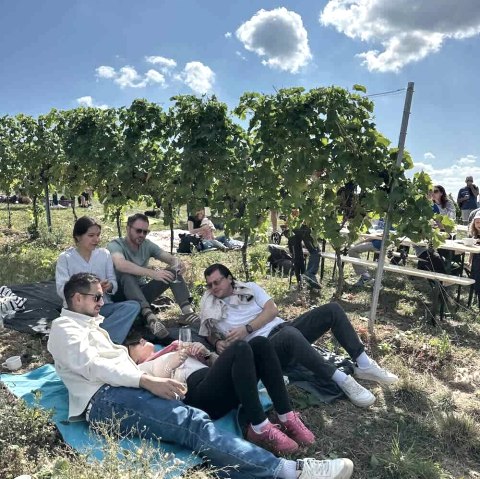 Hoffest Weingut Fürst, © Weingut Fürst Hoffest Weingut Fürst, © Weingut Fürst