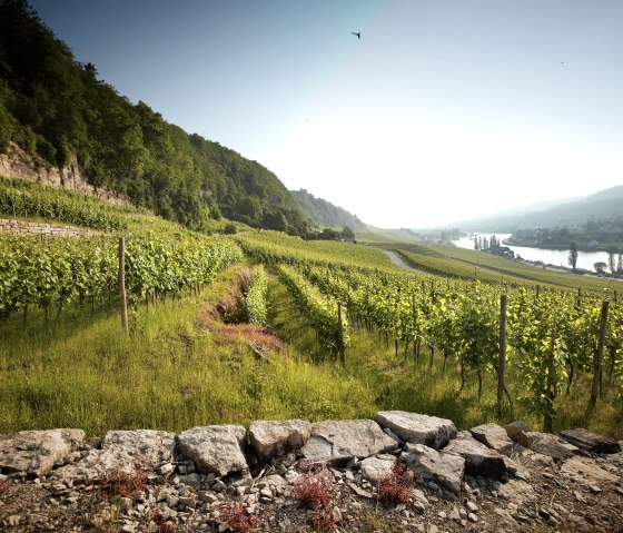 Wijnhandel Bernard-Massard, © Deutsch Luxemburgische Tourist Info Wijnhandel Bernard-Massard, © Deutsch Luxemburgische Tourist Info