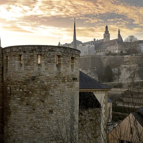 Wenceslas, &copy; Barbara Fuchs