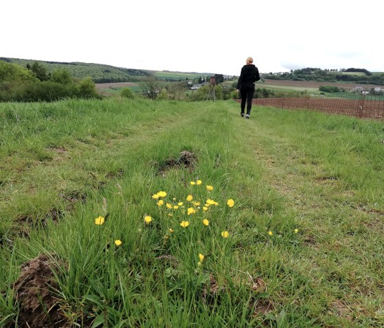 Schilzenburg 12, &copy; Nicole Zimmer