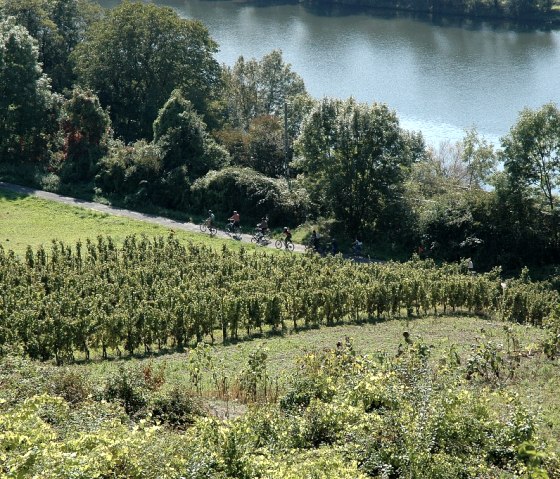 mosel-wein-kl, &copy; Deutsch Luxemburgisches Tourist Info
