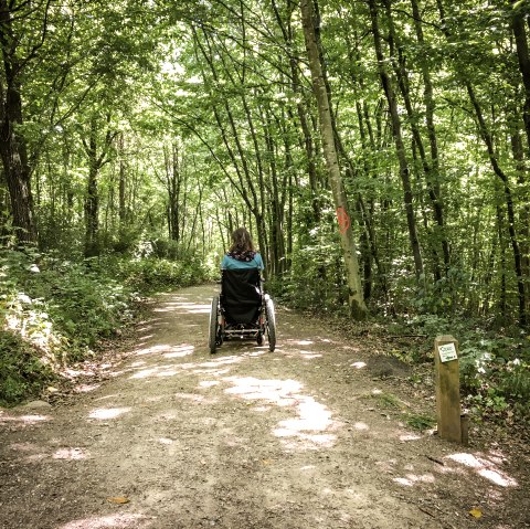 Une personne en fauteuil roulant roule sur un chemin forestier ensoleill&eacute; dans le K&ouml;nigswalddchen. Le chemin est bord&eacute; d'arbres verts., &copy; TI Bitburger Land