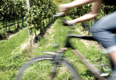 Radfahrer 2, &copy; Schl&ouml;sser aus Irrel