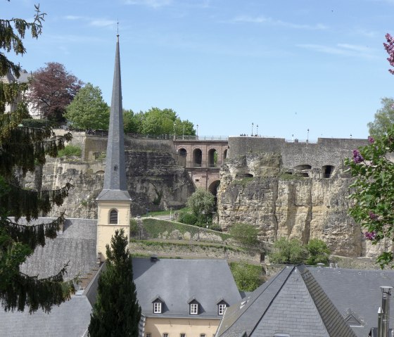 basic-2-nicole-kamer, © Nicole Zimmer