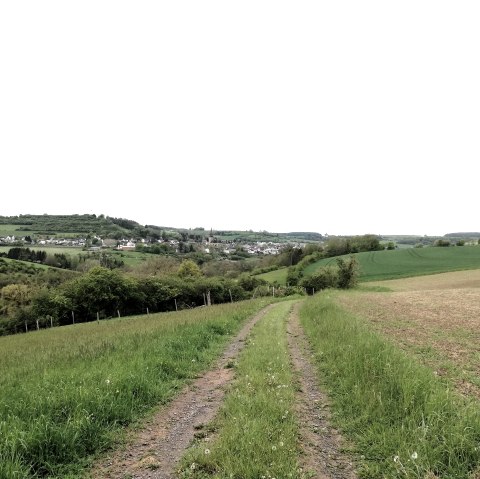 Schilzenburg 12, &copy; Nicole Zimmer