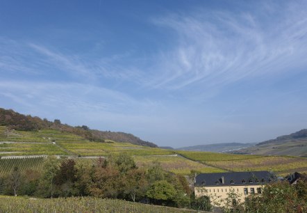 p1070757, &copy; Nicole Zimmer