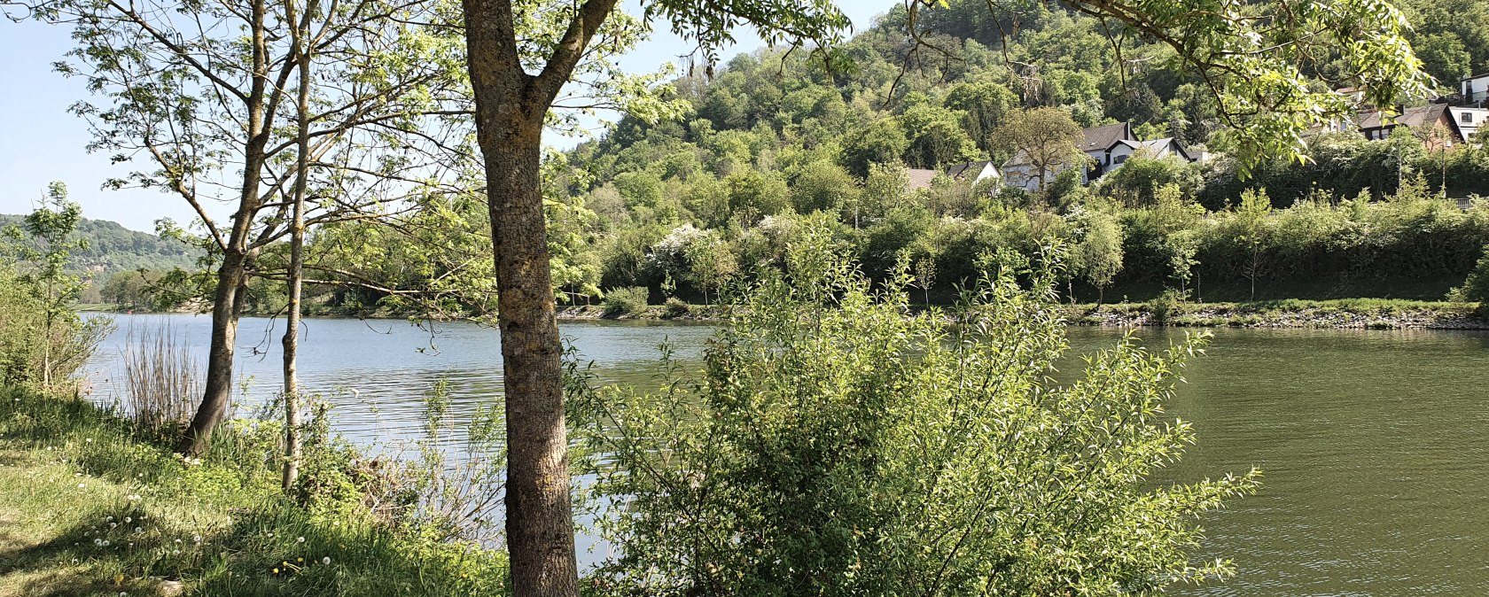 Une rivière coule tranquillement le long d'une rive boisée. En arrière-plan, on aperçoit des collines et quelques maisons isolées., © Tourist-Information Bitburger Land, Steffi Wagner