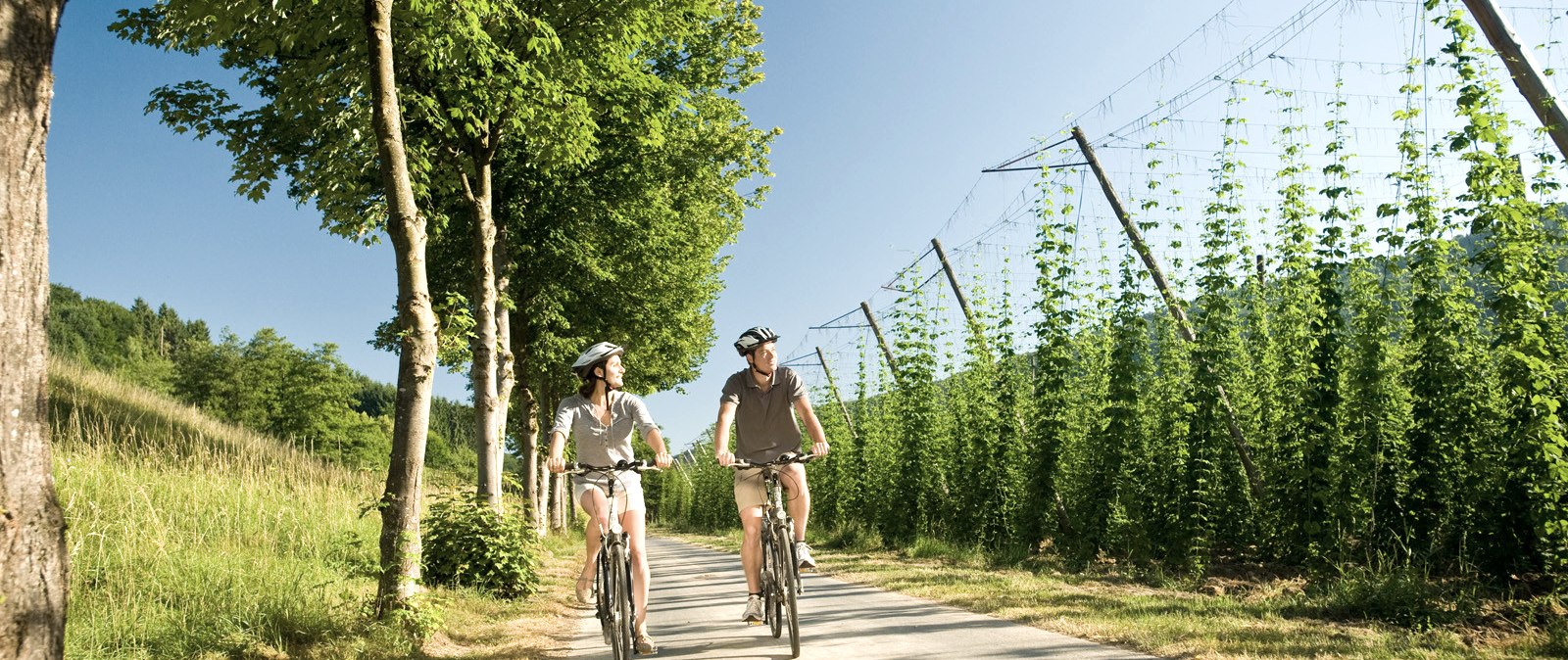 Radfahrer auf dem Pr&uuml;m-Radweg, &copy; Dominik Ketz Fotografie / Rheinland-Pfalz Tourismus GmbH