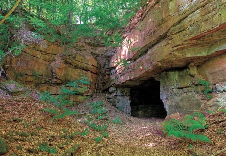 Eingang einer Höhle in einer Buntsandsteinformation, umgeben von grüner Vegetation und Laub am Boden., © Naturpark Südeifel, Charly Schleder