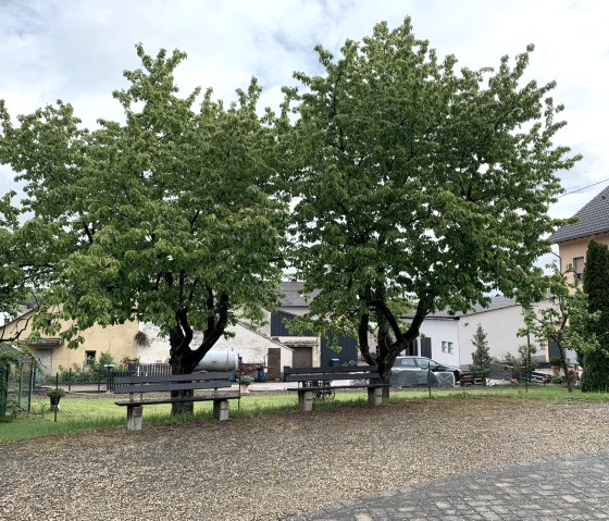 Fusenich benches, &copy; Nicole Zimmer