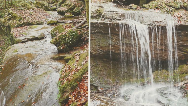 Ein ruhiger Waldfluss fließt über glatte Steine. Neben ihm plätschert ein kleiner Wasserfall in einem naturnahen Umfeld.