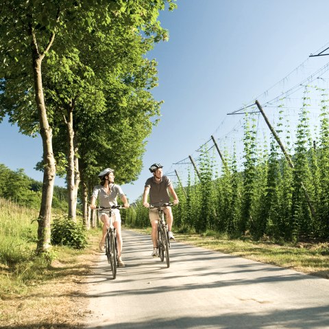Cyclists on the Pr&uuml;m cycle path, &copy; Dominik Ketz Fotografie / Rheinland-Pfalz Tourismus GmbH