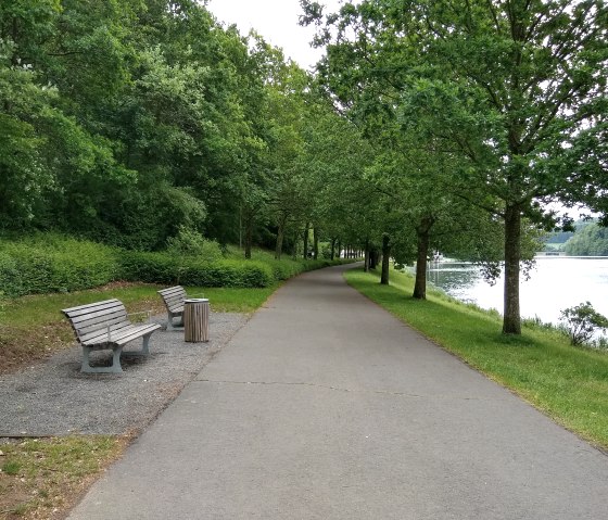 Deux bancs se trouvent sur un chemin asphalté, entouré d'arbres et d'un lac. Le chemin fait partie du circuit accessible du lac de barrage de Bitburg., © Naturpark Südeifel