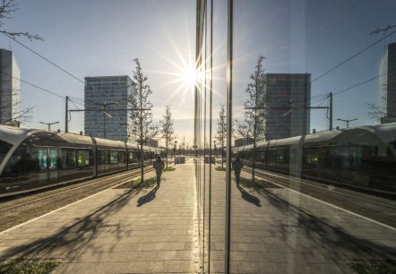 Lux2, &copy; Nicole Zimmer