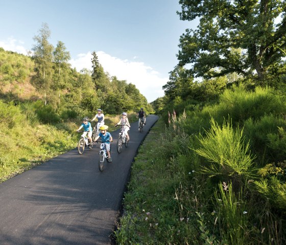 Familie mit Kindern fährt auf einem asphaltierten Radweg durch grüne, sonnige Landschaft. Ideal für entspannte Radtouren., © vennbahn.eu