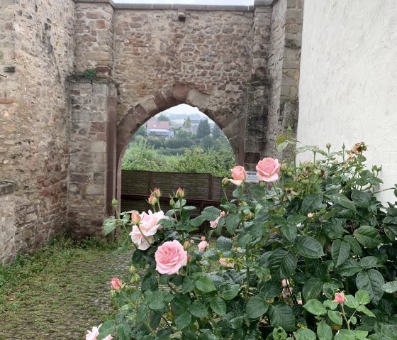 Welschbillig, &copy; Deutsch Luxemburgische Tourist Information